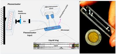 Experimental Resonances in Viscoelastic Microfluidics